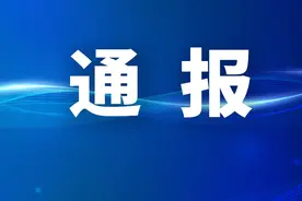 官方通报：雷某某，被停岗处理图片