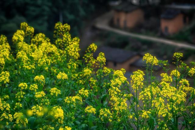 高铁直达！最适合3月小住几天的安逸小城，节奏慢，每个都超治愈