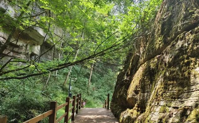 赶走秋老虎！汉中新添两处“清凉外挂”，22℃瀑布、峡谷……玩不够！