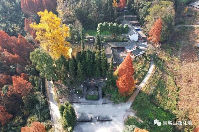 美疯！我就说初冬的都江堰有真东西！