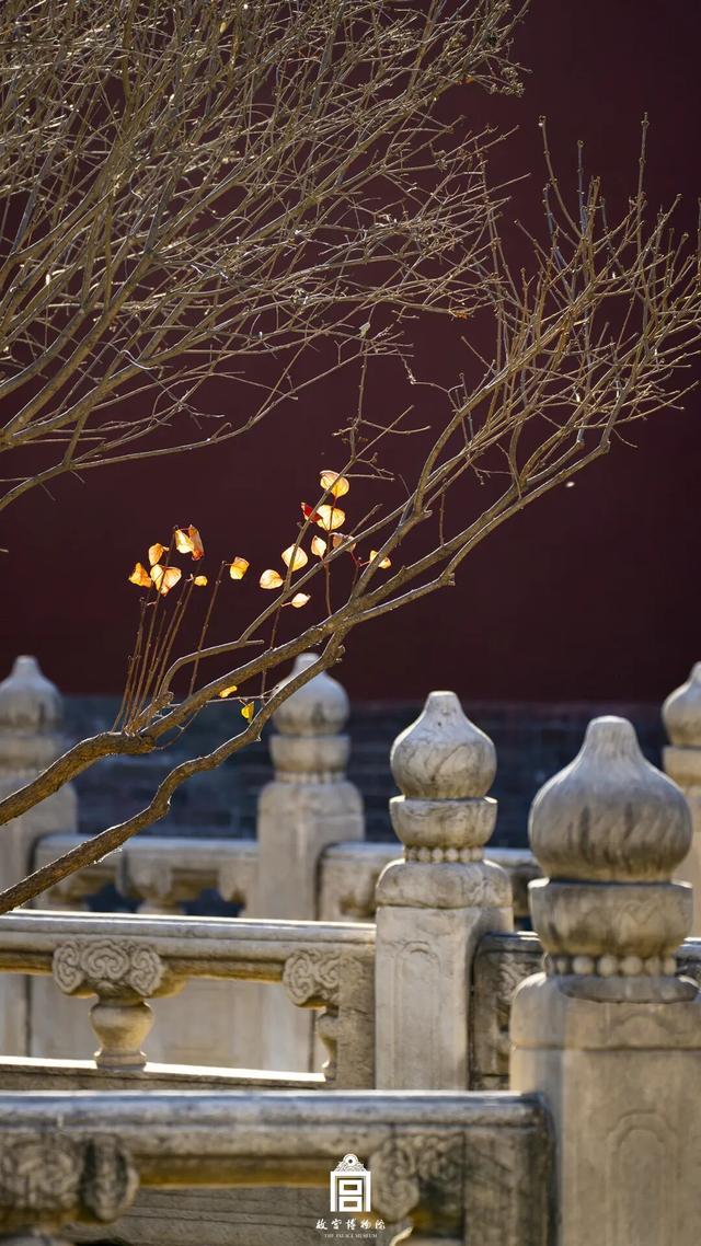 故宫四季美景一览，震撼高清美图预警！