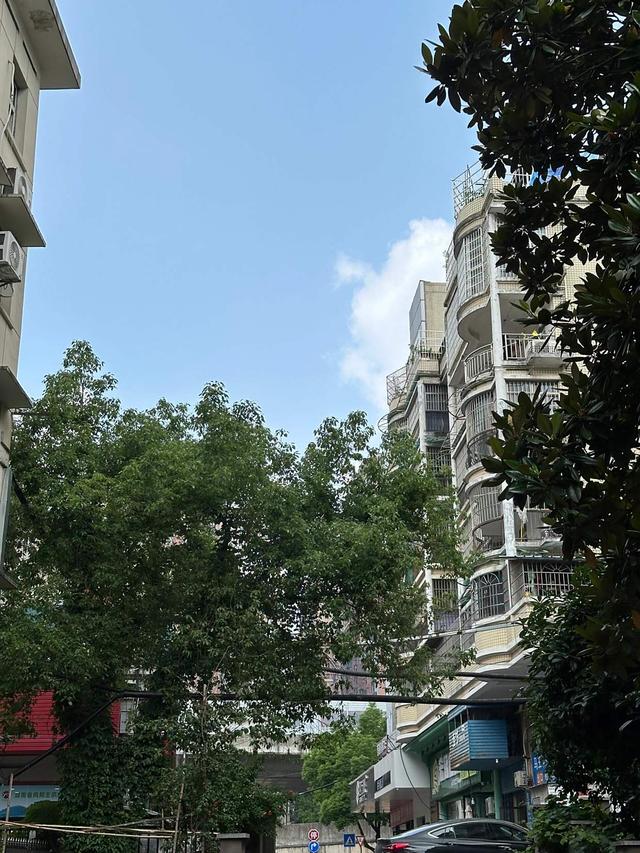 越来越多有钱人偷偷收购“步梯房”？内行说出实情，让我恍然大悟