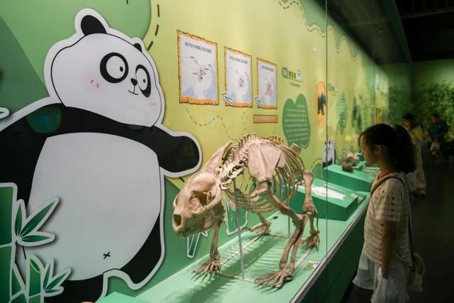 常博双展火爆，延时开放精彩不打烊