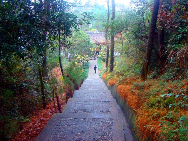 浙江旅游：三访奉化溪口古镇行散记（图）
