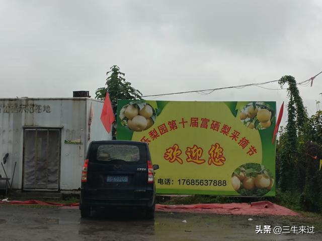 无为在歧路，国庆游淄博5