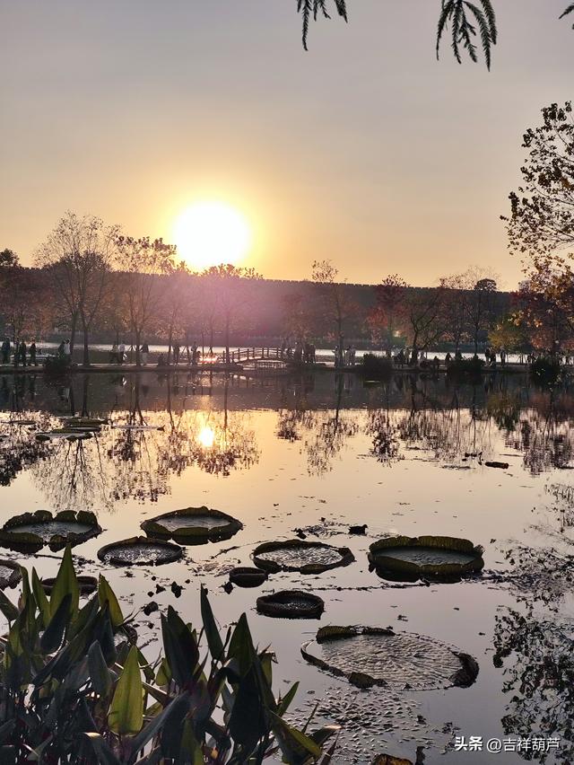 初冬‖钟山前湖月牙堤的日落，美的人移不开眼，停不下手拍摄！
