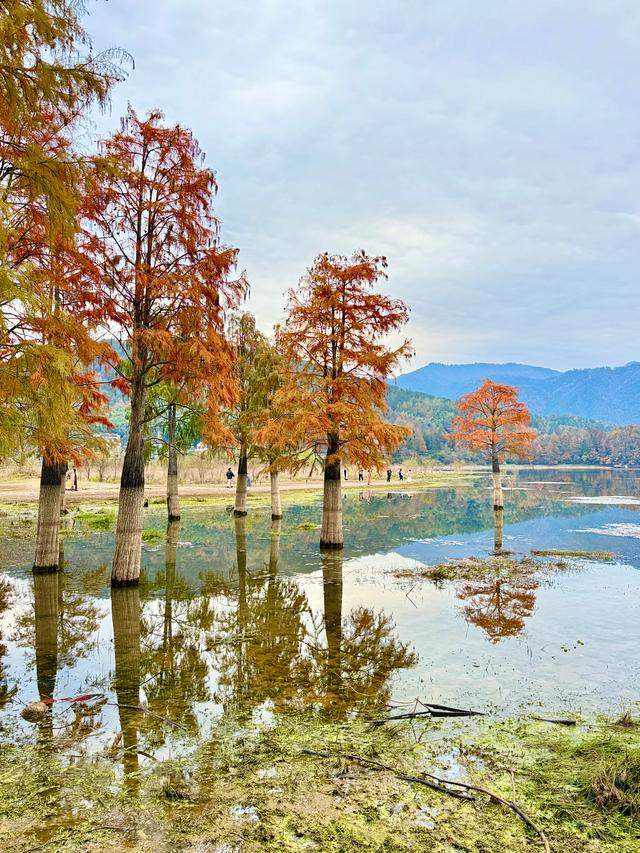 等待日出(黟县宏村镇卢村与奇墅湖)