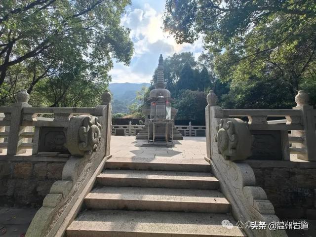 一树金黄,满城风雅!温州这棵著名的古寺银杏再不去就要落叶了