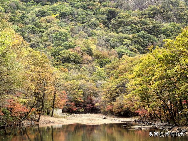 2025辽宁赏秋之旅日记(2)——游览丹东蒲石河森林公园