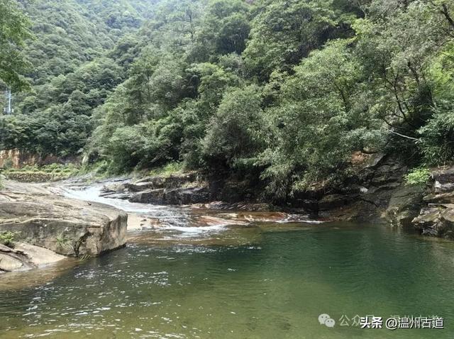 温州这个以畲族始祖命名的4A级景区，秘藏着一座“生物王国”！