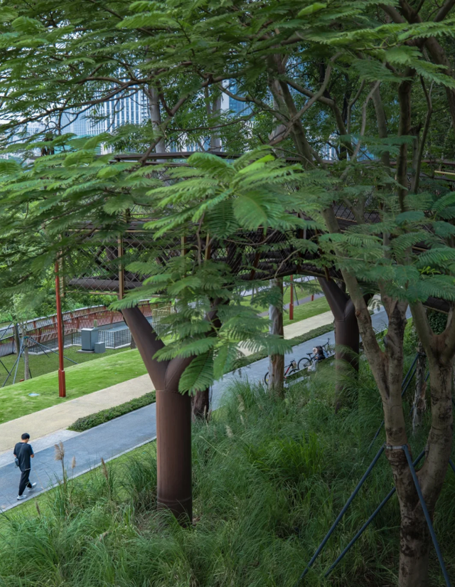 深圳又一生态长廊爆红，被称为现实版“魔法森林”，适合徒步遛娃