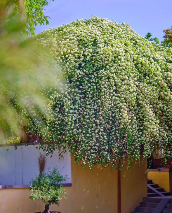 山水相逢·趣玩泰前 泰前街道推出“五一”文旅五大主题线路