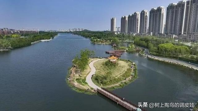 45 岁后家庭出游，星级酒店为何成首选？