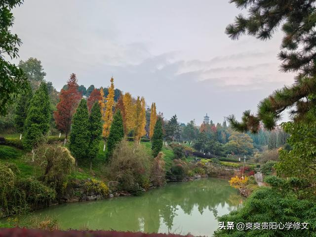 冬日里 修文县白虎山山体公园已换上五彩盛装