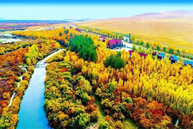 呼伦贝尔金秋旅游季｜奔跑在额尔古纳河右岸，邂逅北疆秋日童话！