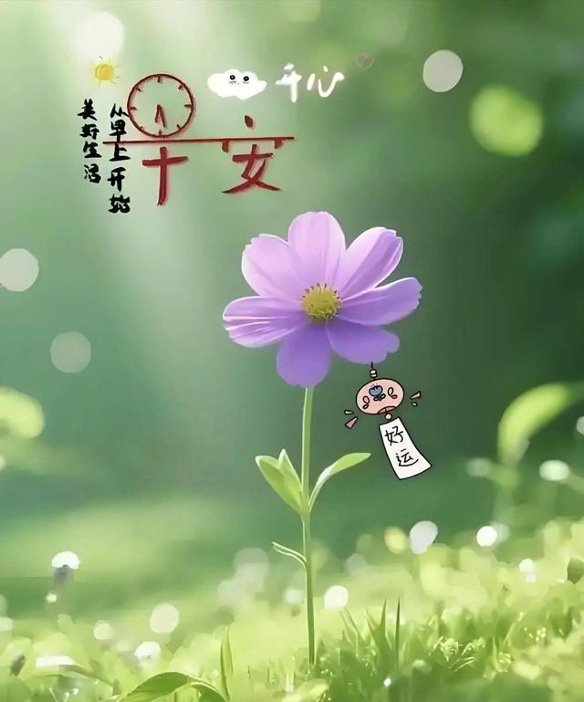 18句暖心早安问候，满是真诚牵挂，愿你每天收获幸福