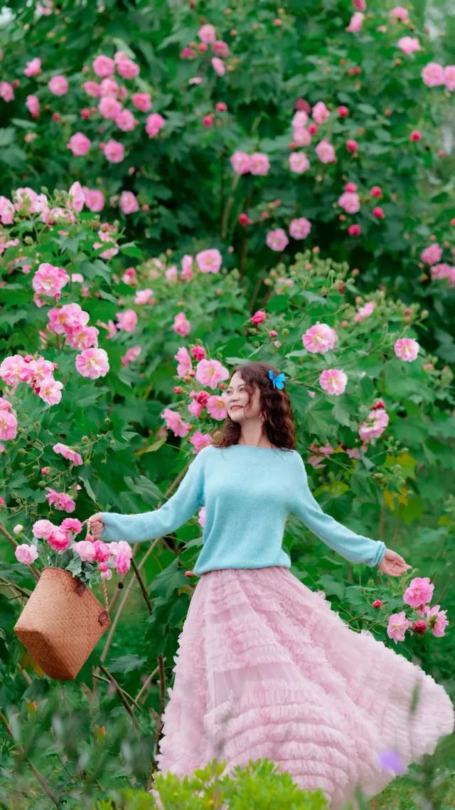 冬日“顶流”大片盛开!超级出片→