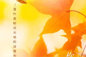 治痛风有妙方，五个中药外治方，要收藏：痛风发作，止痛快不着急图片