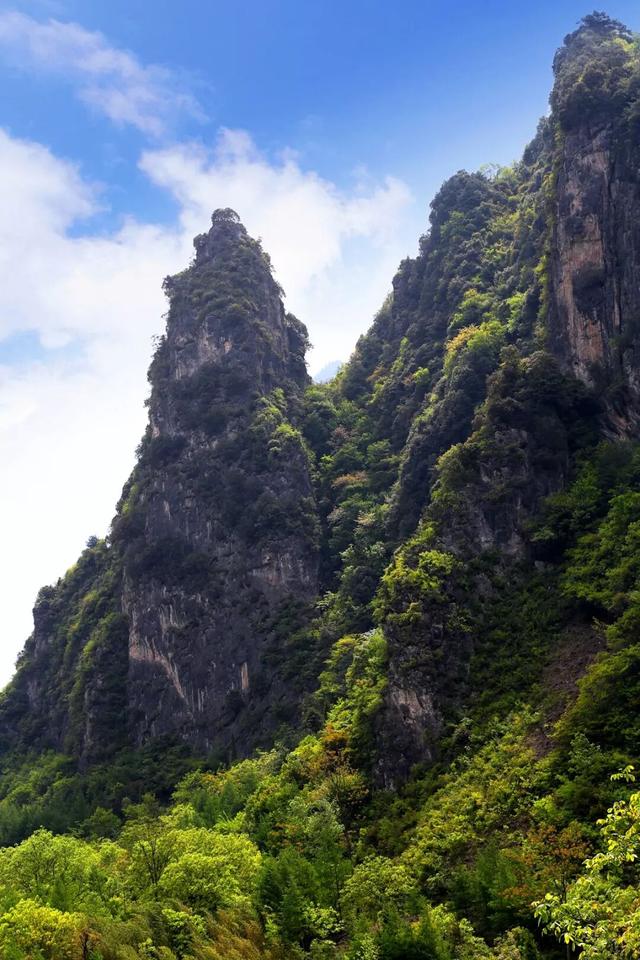 肖娴：马蹄和茶记住的古道