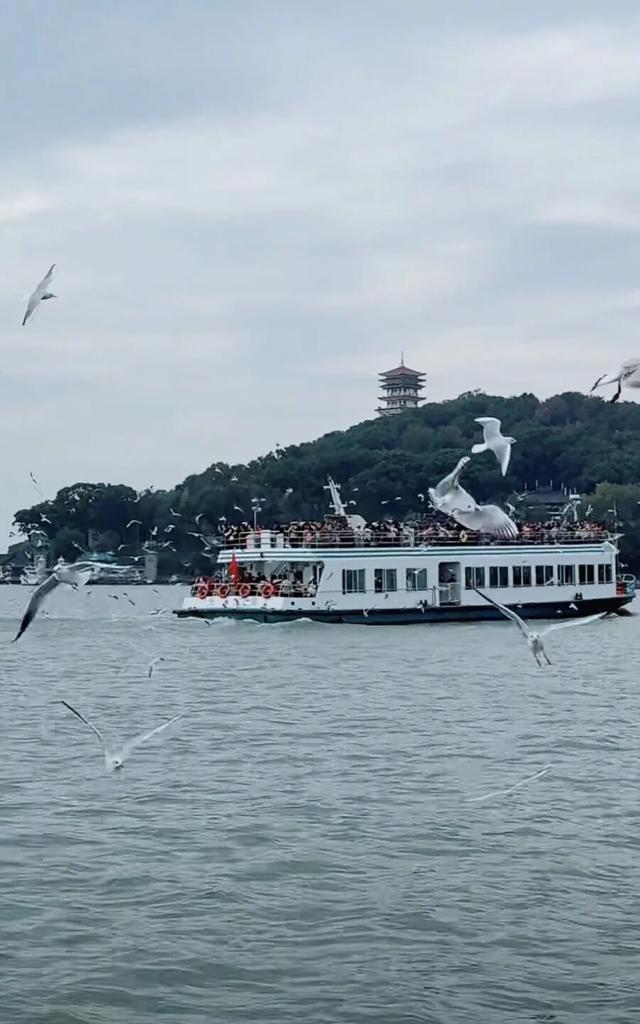 确认了！大批“顶流”抵达无锡！