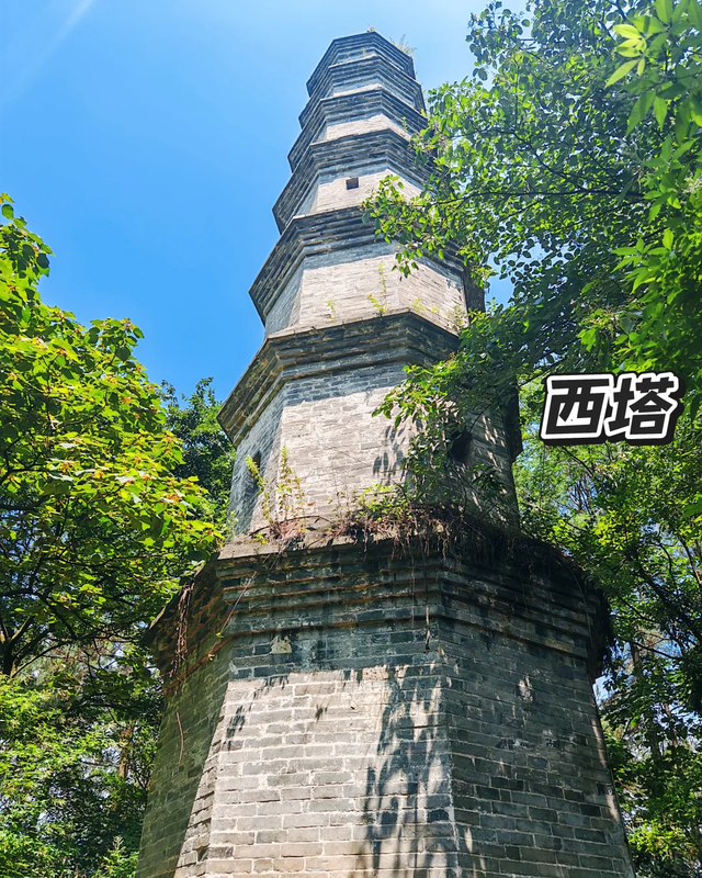 邛崃白鹤山千年绿道，成都0.5h直达，玩转古寺禅意+森系秘境！