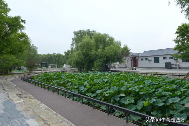 宝坻小辛码头：古渡辛埠藏雅韵，漕声千载忆根源