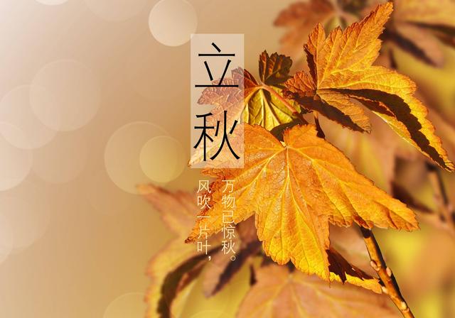 明日立秋，提醒大家：无论多忙，1不穿、2不睡、3不喝、4要吃！