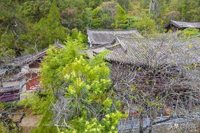 三圣宫怎么就成了龙泉寺？束河古镇边的这个3A景区有点混淆不清