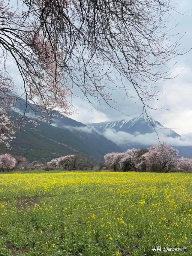 在朋友圈的一方小小天地里，那神秘而圣洁的雪域高原——西藏