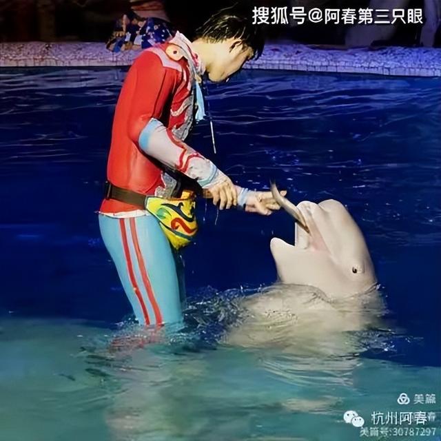 大连 之海洋世界