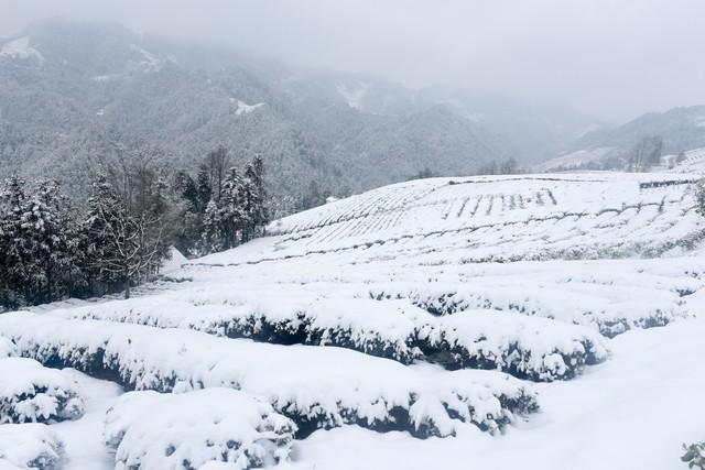 “最怕小雪是晴天”，今日小雪，晴天有啥预兆？看看农谚咋说