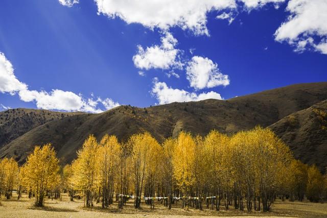 阿坝5大美景VS甘孜5大美景，你去过几个？你认为谁更胜一筹？