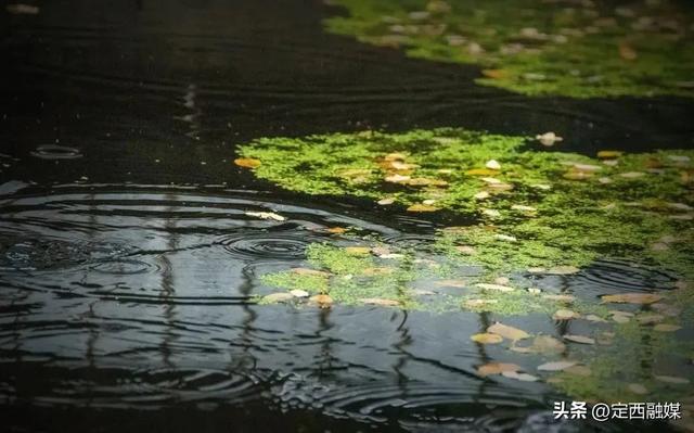 雨润临洮，秋光满故城