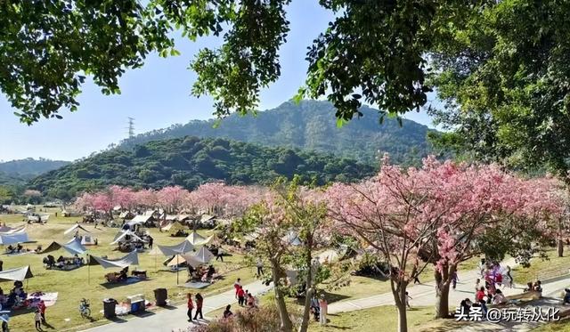 从化之心：街口，广州的“0.5倍速”按钮