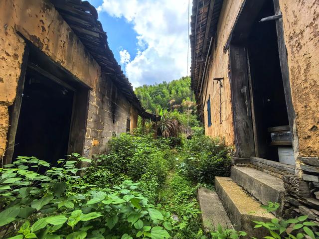 荒村上周尾