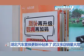 湖北汽车补贴放大招，市场销量一路狂飙图片