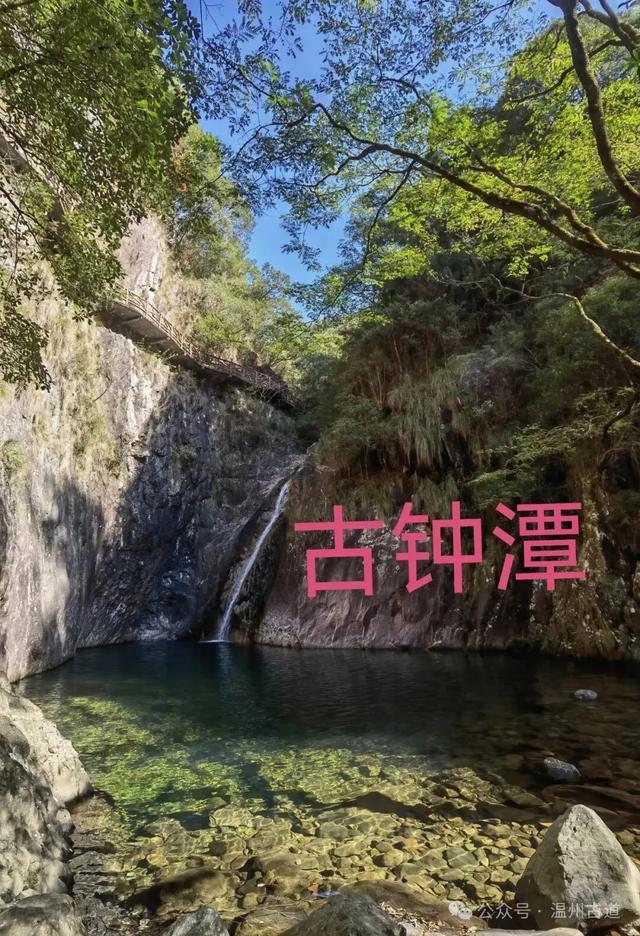 温州这个国家森林公园藏着深秋醉美的秋色,你可去过?