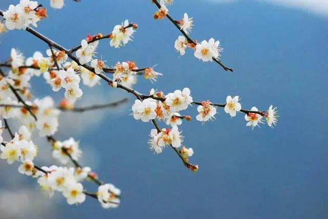 报名继续!今年你的越野赛,就在广州从化收官吧!