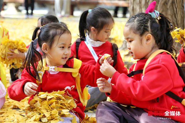 岱庙观景，簌簌金叶映童趣