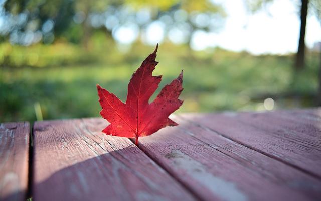 600元国产定焦，四种题材可玩性如何？体验铭匠Z口镜头23mm F1.8