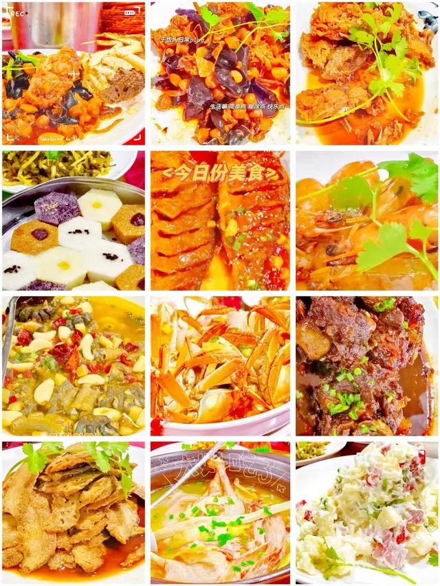 相约在湖州,相聚在梦萦——记原福空医院老战友2025年湖州行