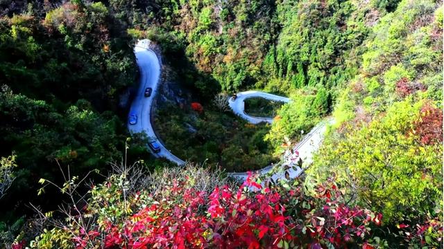 秋天的襄阳谷城 红彤彤金灿灿