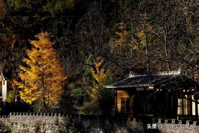 白马河冬日私语