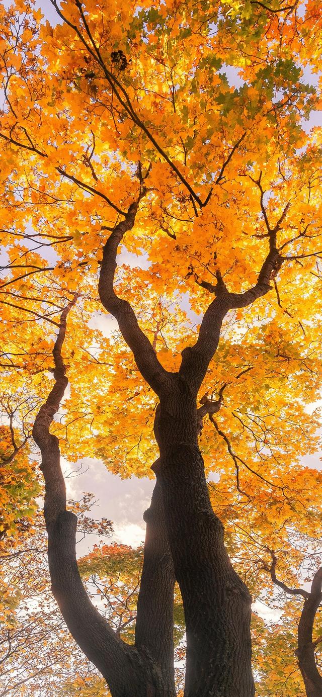 手机壁纸|iOS自然风光美景