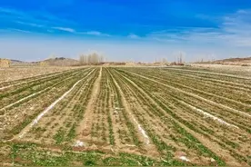 乡村故事：苦娘（十九）图片