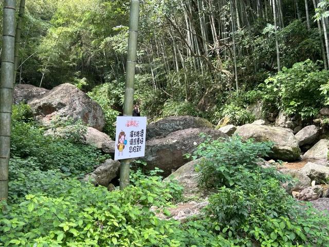 车车车车车又堵上了！一到周末萧山这些村爆火，都是去玩水的，“皮艇都在排队”