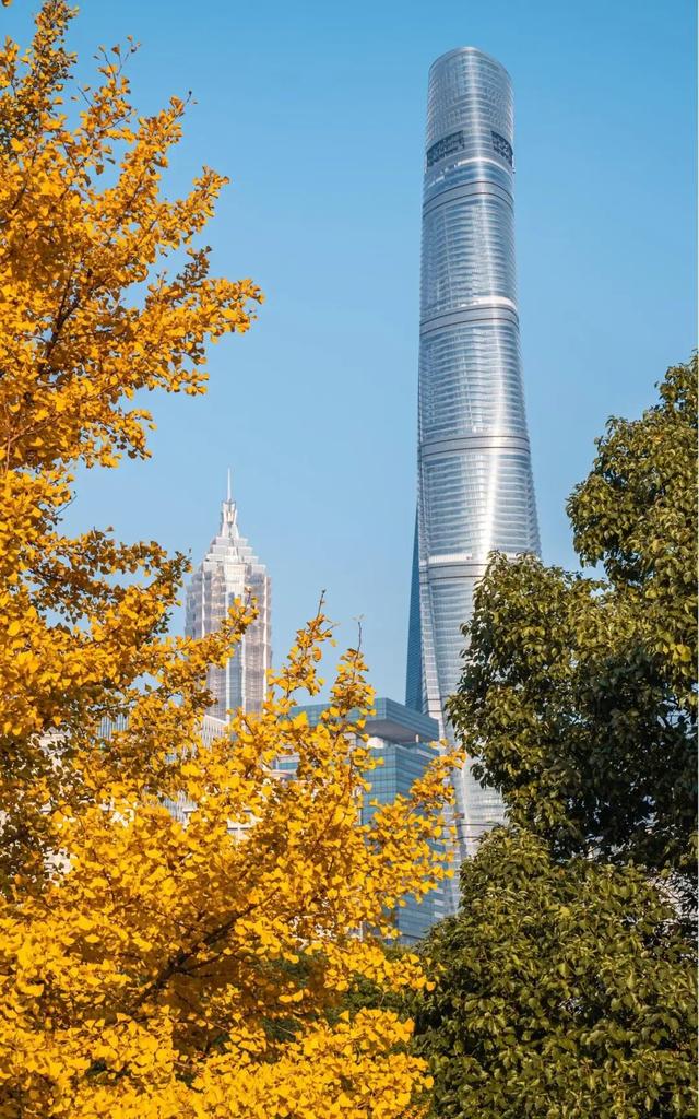 上海市中心又一公园拆除围墙！24小时开放！内藏明城墙和宝藏机位！怎么还有个“灶披间”？