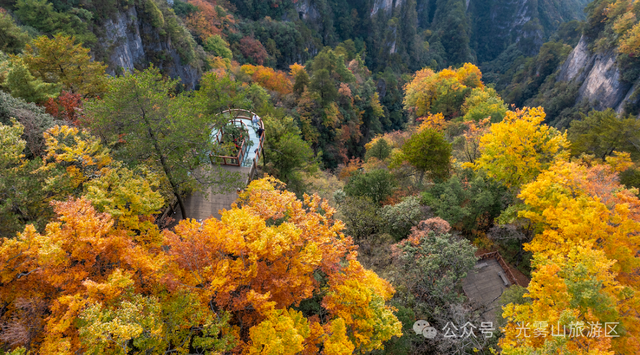宝子你听我说，近期天气好、红叶美，光雾山可以冲了!