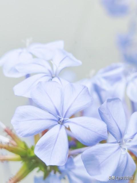 写在2025.12.31最后时刻