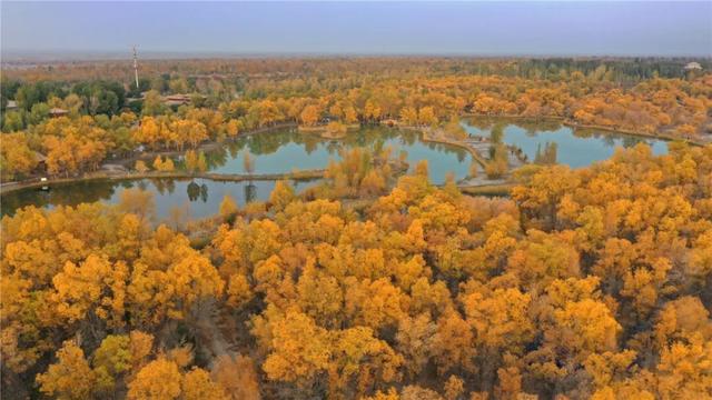 通航在即！解锁戈壁落日与江南烟雨的邂逅密码
